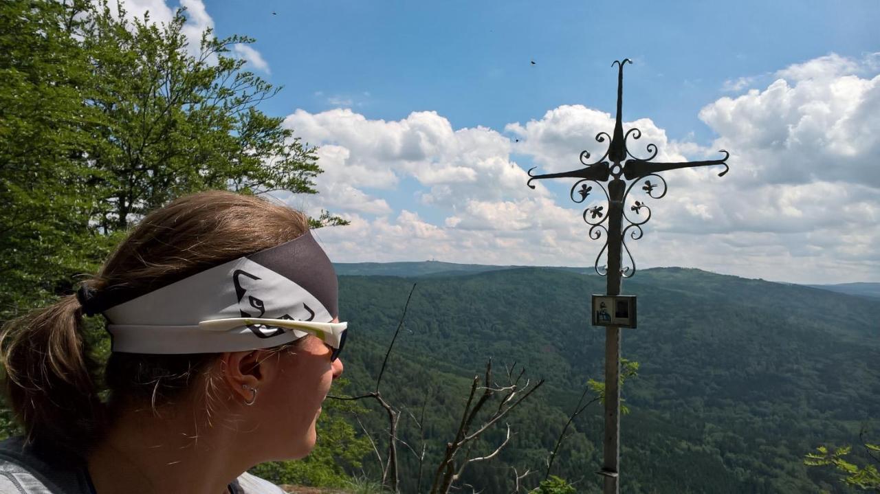 Hotel Zur Waldbahn Цвизель Экстерьер фото